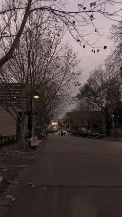 Winter at night 
