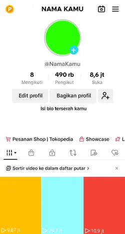 Frank profil tiktok 