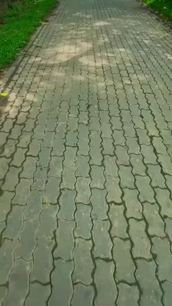 ca bagan