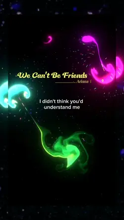 WE CAN'T BE FRIENDS 