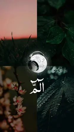 Quran recitation 