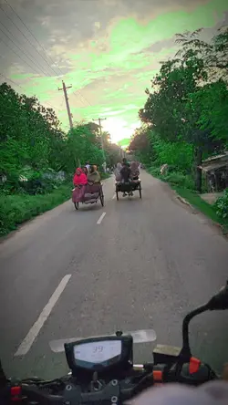 natural templet bike