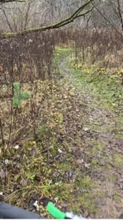 Pierwsze wideo 