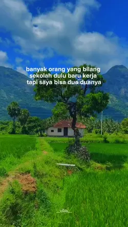 status wa 