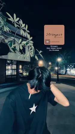 strongers alanwalker