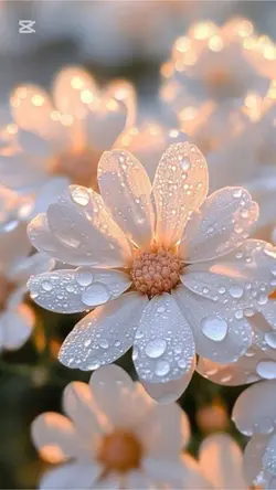 🌸