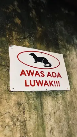 jj awas ada luak