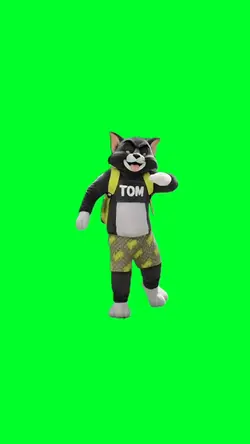 Tom cat jet set