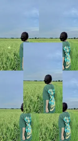 mẫu nhạc tách ảnh