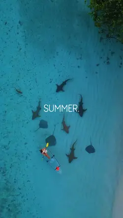 Summer 