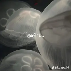 เศร้าแป๊บ