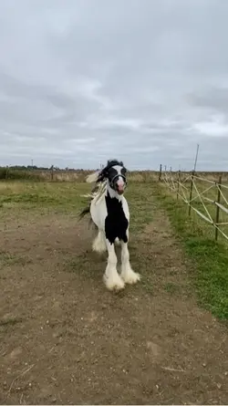 Sweater Weathe