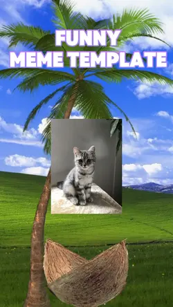 Coconut meme 