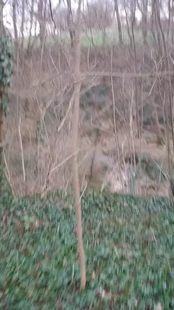 hzudheke