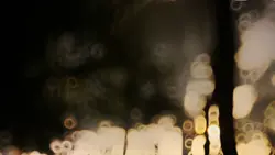 Hình bóng người