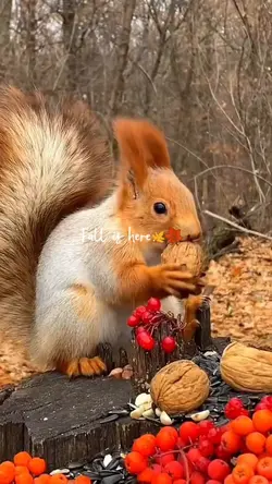Fall is here