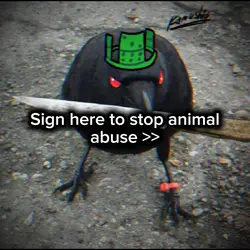 stop animal abuse 2