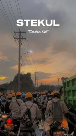 Stecu