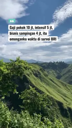 Survei BRI