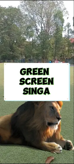 green screen singa