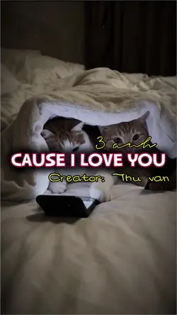 Cause i love you 