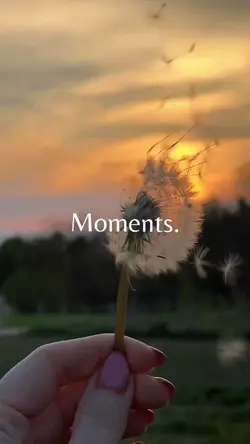 Moments