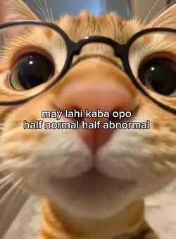 half normal half 