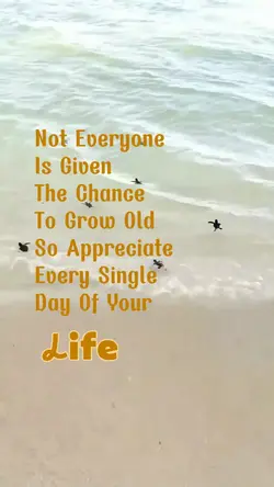 Appreciate Life