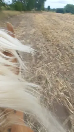 1 video slomo