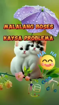 MATINDING BOSES