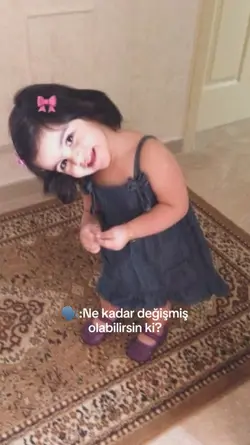 nolduböyle