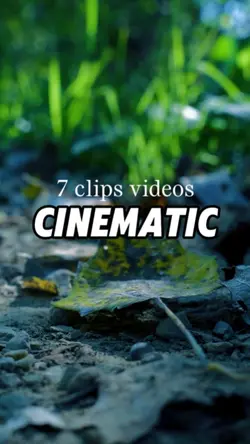 Cinematic
