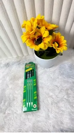 Pensil