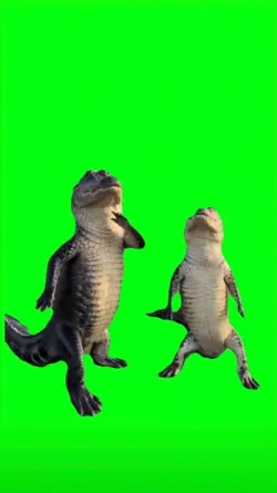Dancing crocodile 