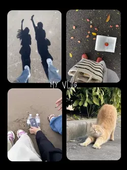 Daily photos