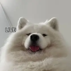 live, laugh, love