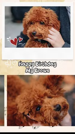 Happy Birtday Pet