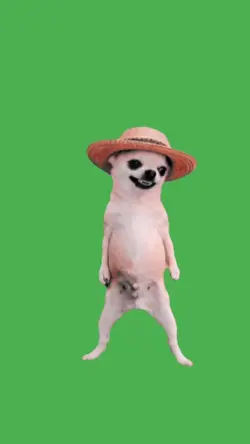 meme dancing
