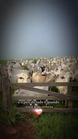 mísera 