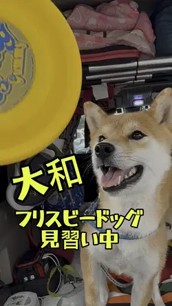 チャレンジ動画🎥✨