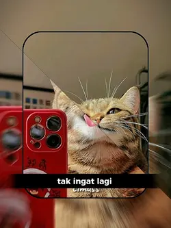 JJ MUTER² KANE3:4