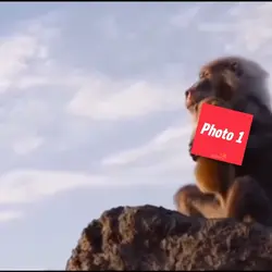 Bye