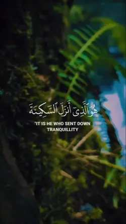 هو الذي انزل السكينه