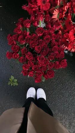 aesthetic 