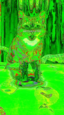 MATCHA TREND NEW
