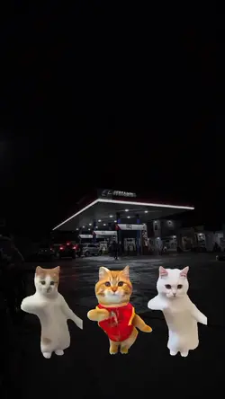 TREND 3 KUCING JOGET