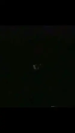 Fnaf vhs