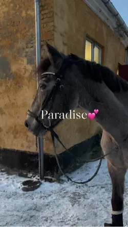 Paradise💕