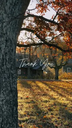 thank you