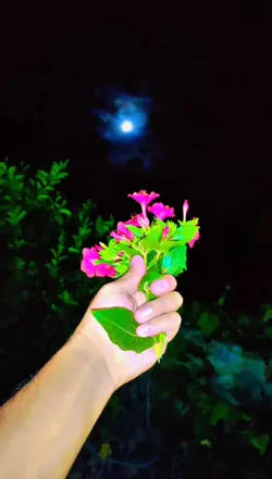 Chand hamara Zameen 